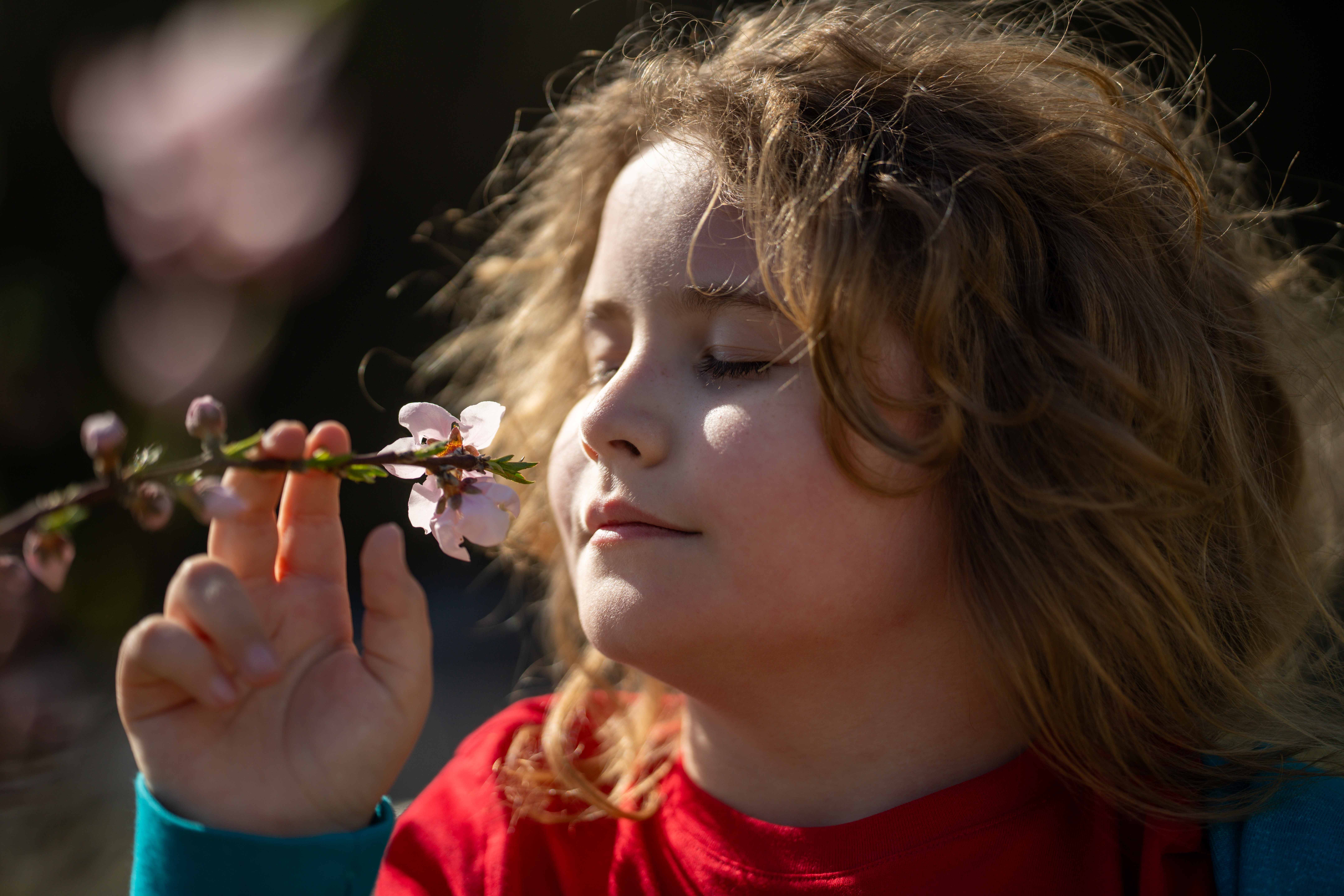 Smells Like Teen Spirit — Nirvana: гимн поколения и его влияние