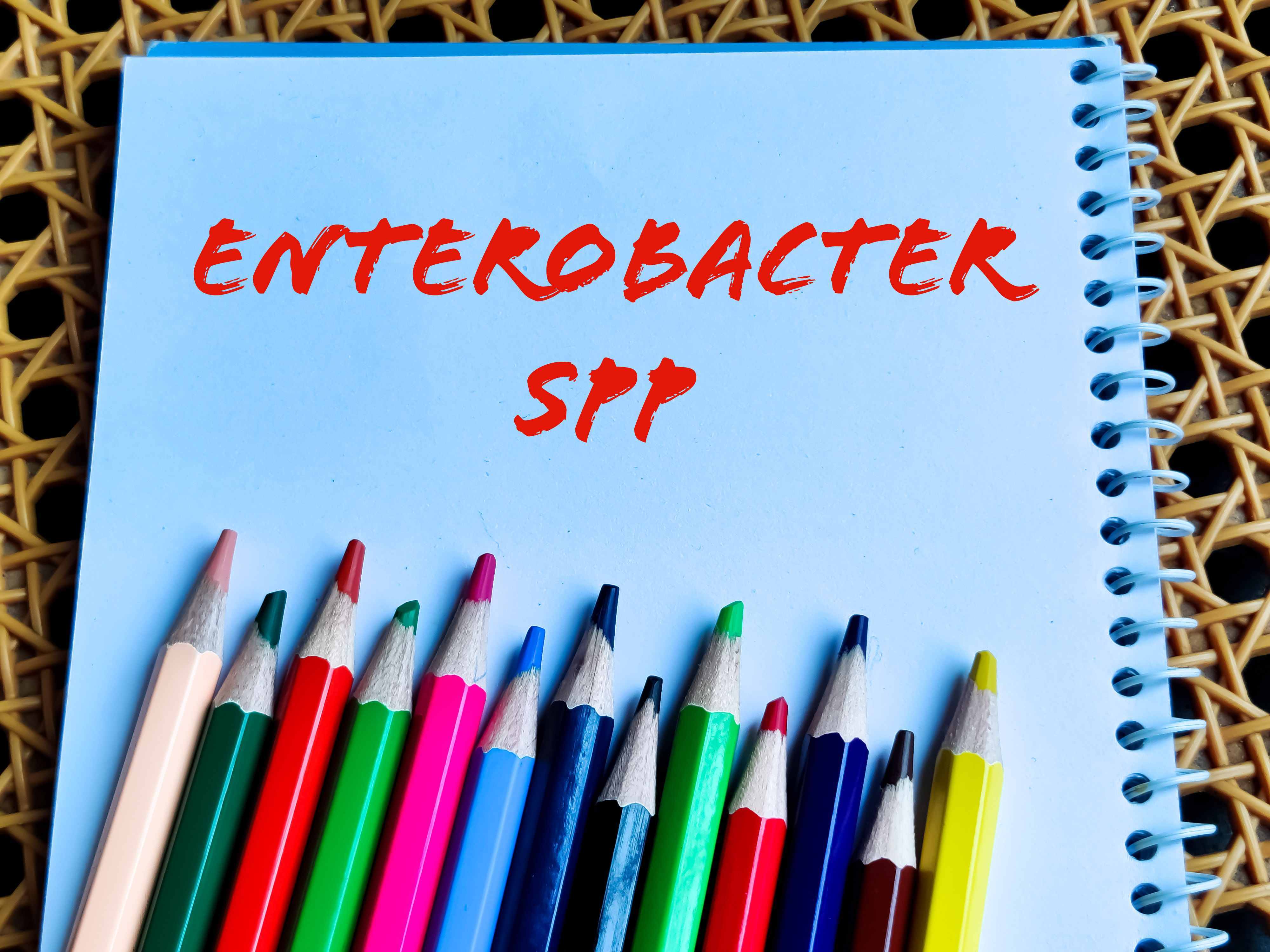 Профилактика BSoD: советы по предотвращению сбоев